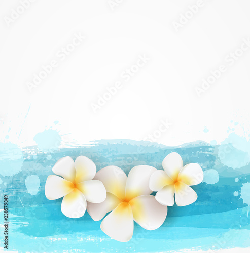 Watercolor lines and frangipani flowers background template