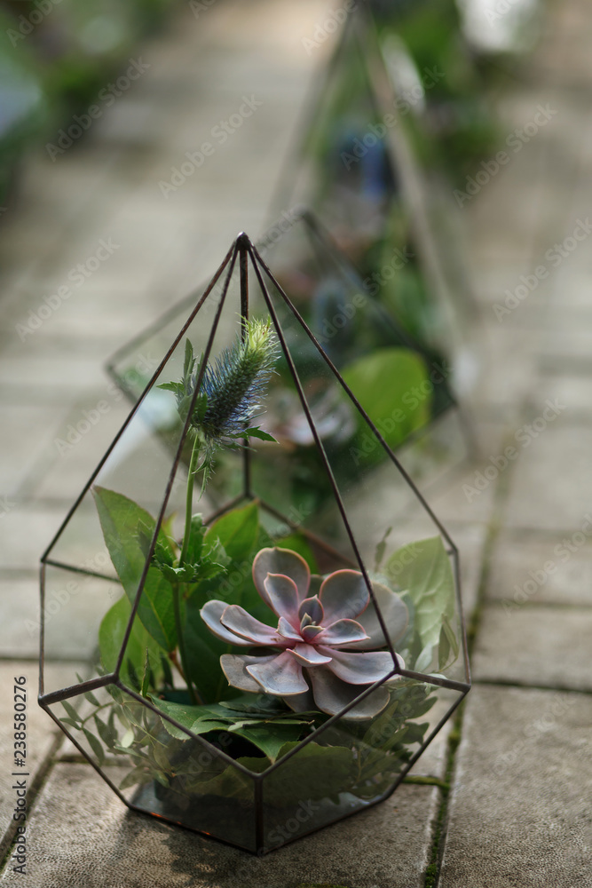 Florarium with fresh succulent flower. Event fresh flowers decoration. Florist workflow. Wedding ceremony design. Florarium with fresh succulent flower. Event fresh flowers decoration. Florist workflow. Wedding ceremony design.