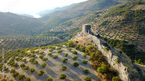 Castillo abandonado entre olivares al amanecer