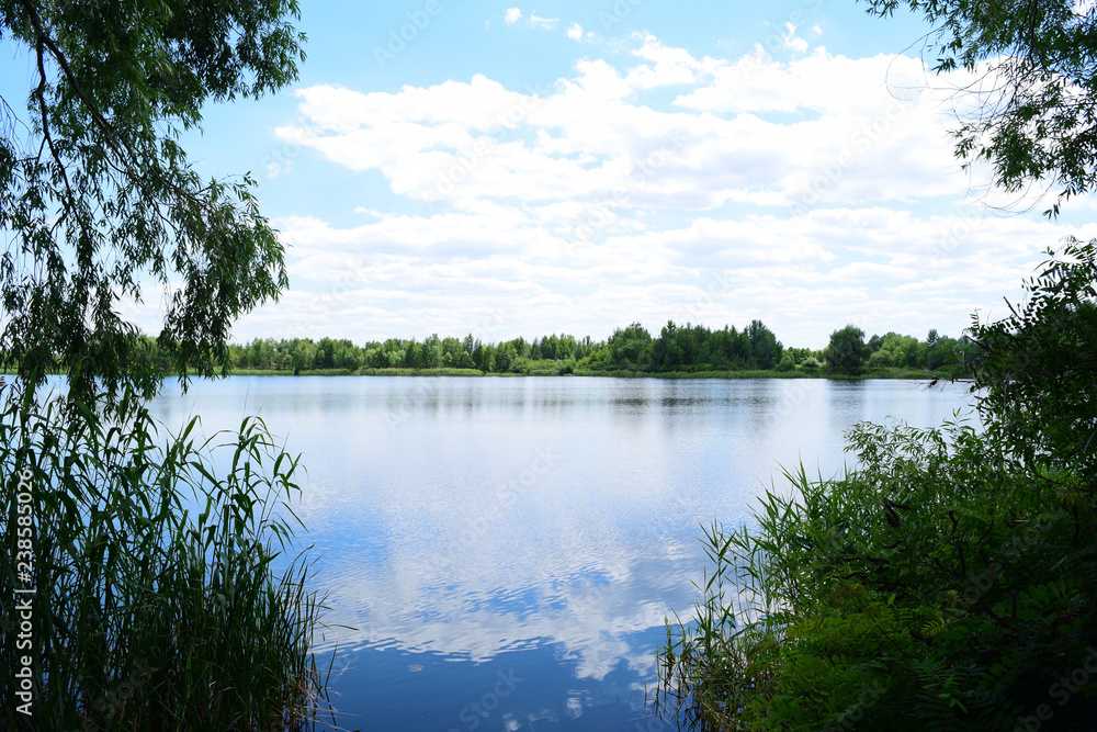 Obraz premium Beautiful view of the dark lake in nature. Summer landscape.
