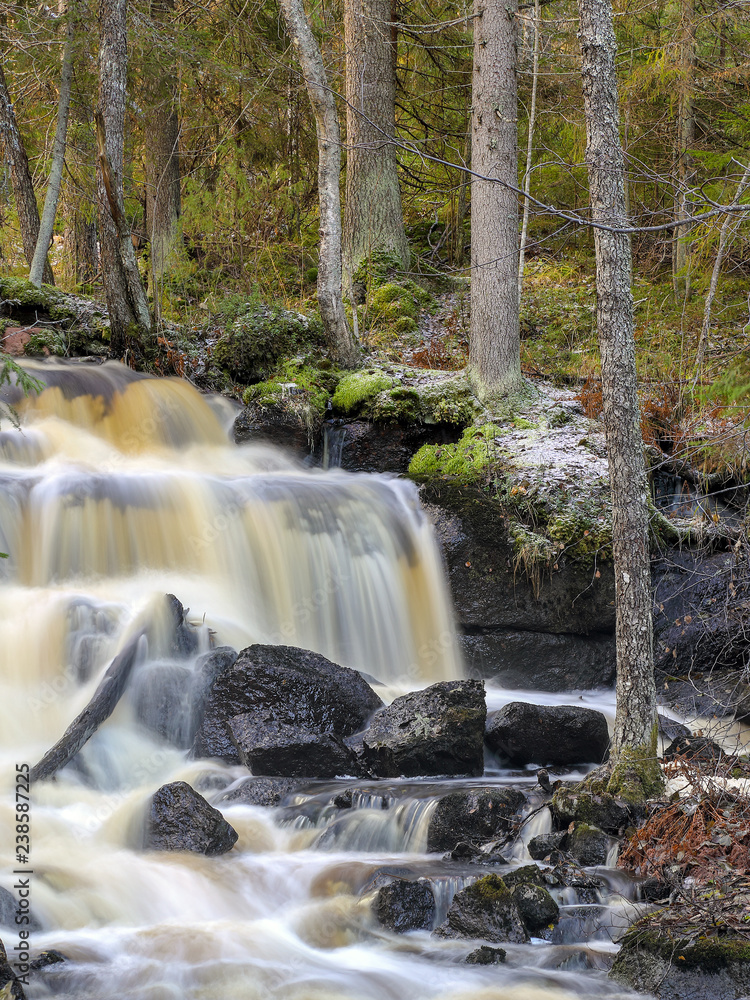 Obraz premium wooded river landscape