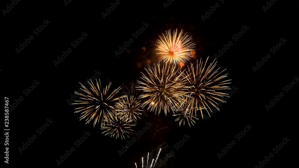 Closeup amazing firework show for celebration on black sky at night. (4K Video) Closeup amazing firework show for celebration on black sky at night. (4K Video)