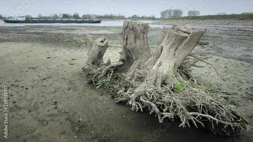 River Rhine's historic low near Lobith at the Dutch German Border photo