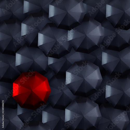 red and black umbrella