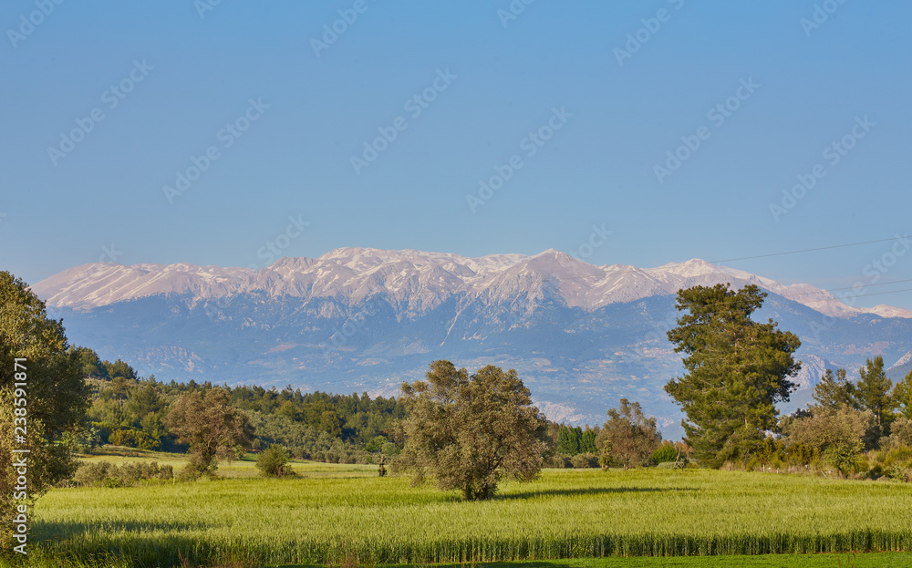 Fototapeta premium górska sceneria w parku przyrody w pobliżu kemer, turcja