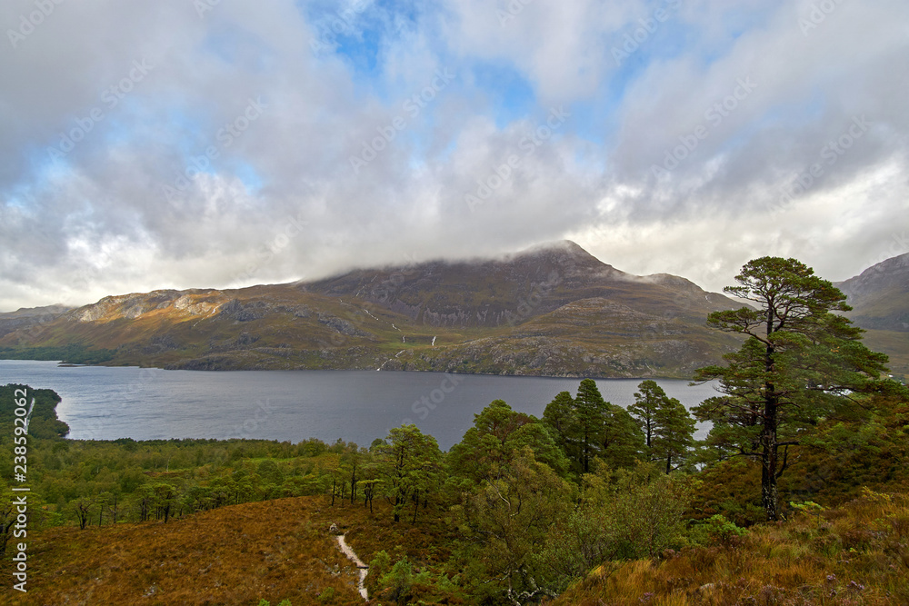 Loch Maree from the Beinn Eighe National Nature Reserve, Wester Ross, Scotland Loch Maree from the Beinn Eighe National Nature Reserve, Wester Ross, Scotland