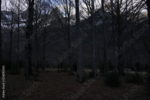 Ordesa Monte Perdido. National Park in Huesca  Spain