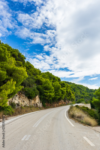 Greece, Zakynthos, Intense green pine trees next to curved road on the island