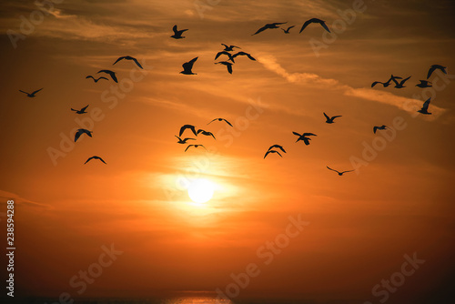 flock of seagulls silhouetted on glowing orange sunset sky over Lake Michigan water