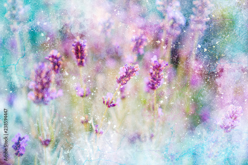 Lavendel Wandbild