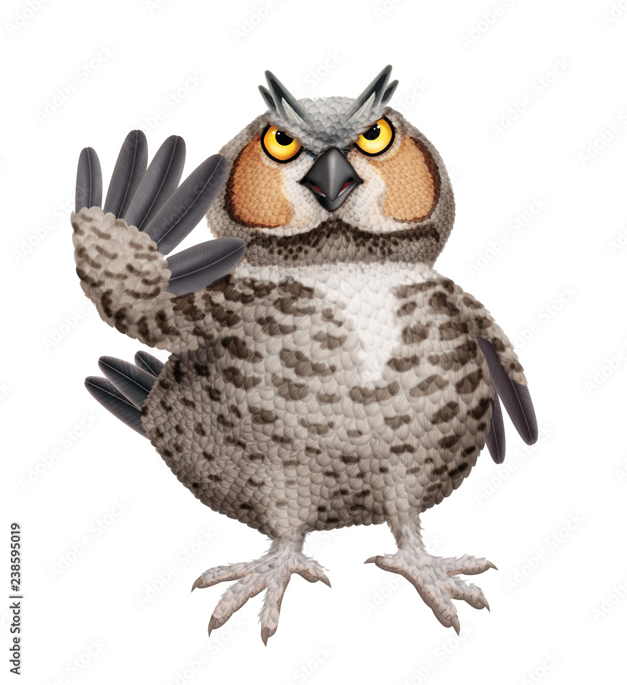 Naklejka premium oiseau, chouette, animal, hibou, bec, prédateur, drôle, faune, stop, faucon, sauvage, empennage, rapace,, proie, aigle, yeux, mascotte