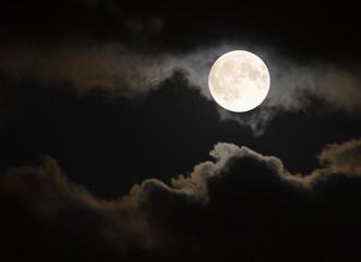 Fototapete Vollmond Vollmond hinter ziehenden Wolken  © Stefanie