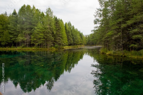 Forest edge reflections at Kitchitikipi