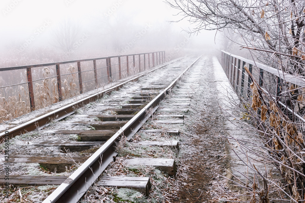 Fototapeta premium Rails in hoarfrost. Misty autumn morning.