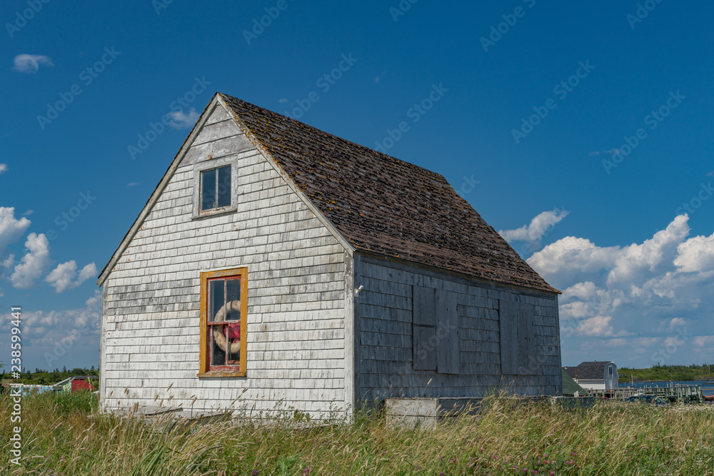 Obraz premium Life ring marks the spot