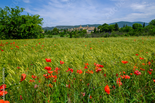 Vue panoramique sur le village de Lourmarin en Provence, France. Champ de blé avec des coquelicots au premier plan.