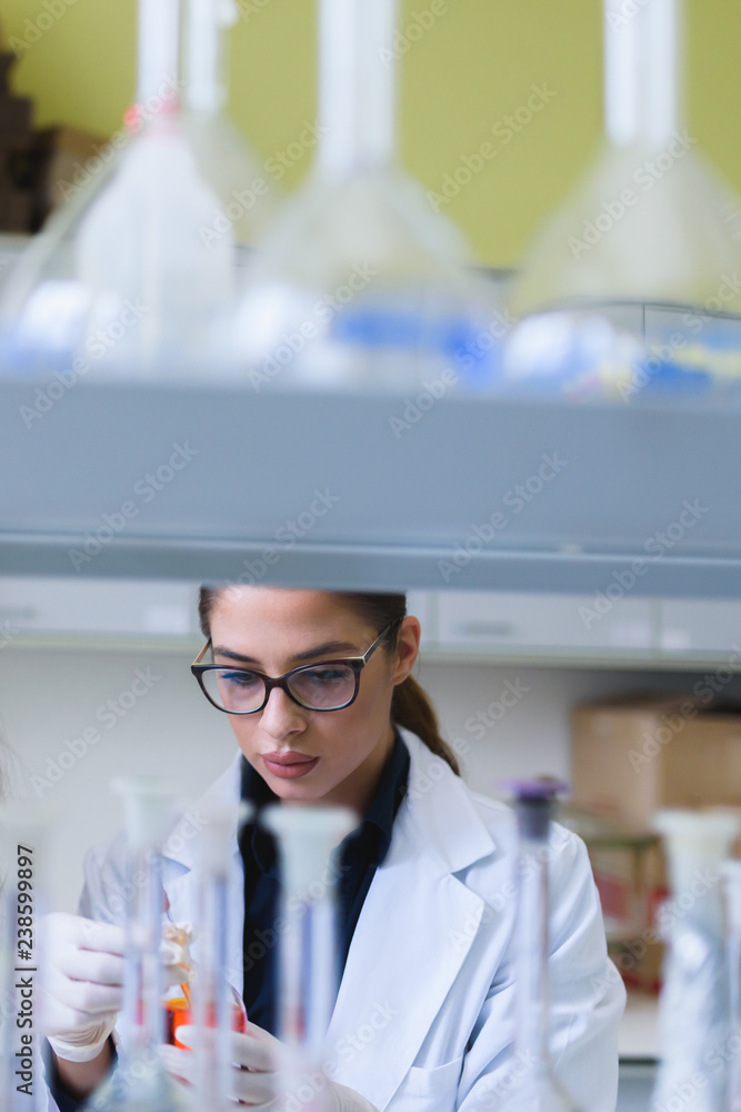 Fototapeta premium Chemistry and medicine students working in a laboratory. Young female researchers doing lab tests.