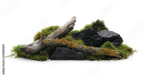 Green moss with branches and coal chunks isolated on white background