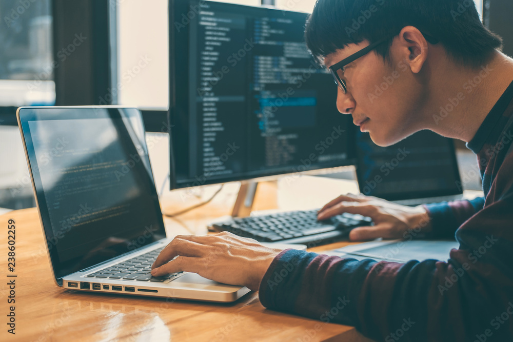 Professional Development programmer working in programming website a ...