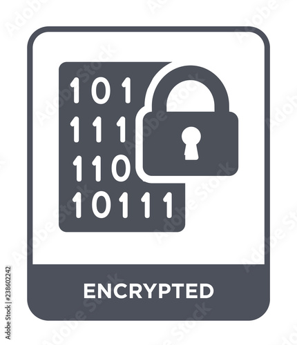 encrypted icon vector