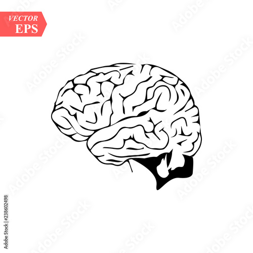 Head with brain vector icon EPS10. Simple isolated silhouette symbol.