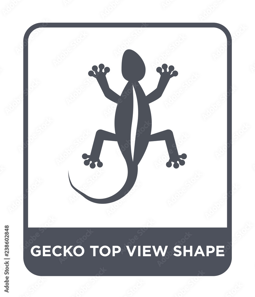 gecko top view shape icon vector gecko top view shape icon vector