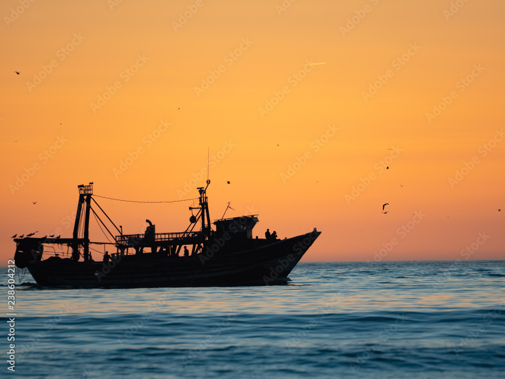 Barco pesquero a contraluz
