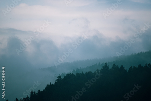Nebelschwaden über bergigem Wald