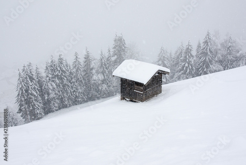 Winterlandschaft mit Holzhütte und Wald im dichten Schneefall © Christiana Vienna
