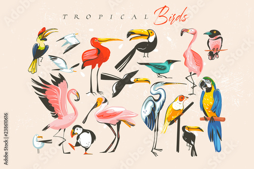 Hand drawn vector abstract cartoon summer time fun big bundle group collection illustrations set with tropical exotic zoo or wildlife birds isolated on white background