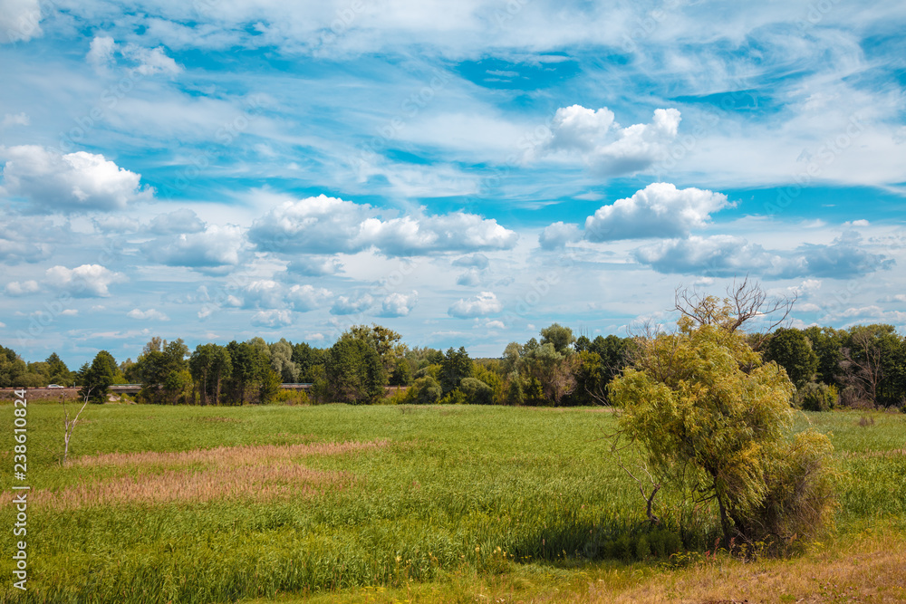 Rural landscape. Green field with beautiful cloudy sky Rural landscape. Green field with beautiful cloudy sky