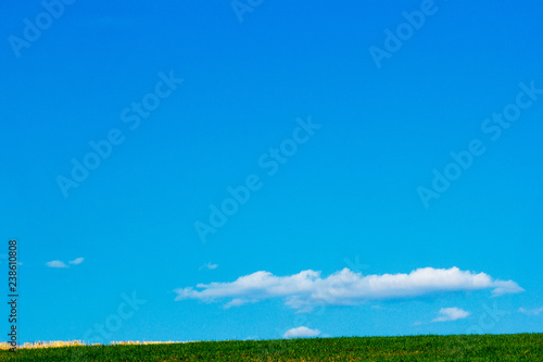 Fototapeta Naklejka Na Ścianę i Meble -  Field of Farmland Crops and Beautiful Blue Sky Above