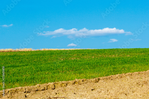 Field of Farmland Crops and Beautiful Blue Sky Above