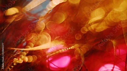 Abstract blurred Christmas lights bokeh background photo