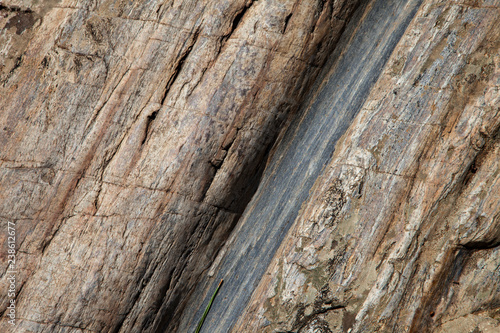 stone, tree, bark, texture, wood, nature, old, brown, pattern, trunk, textured, abstract, wooden, rough, forest, surface, wall, pine, plant, natural, timber, material, oak, detail, grunge, backgrounds