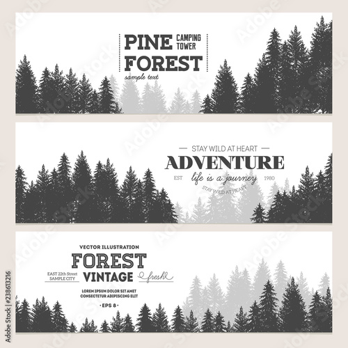 Pine forest. Journey banner collection.