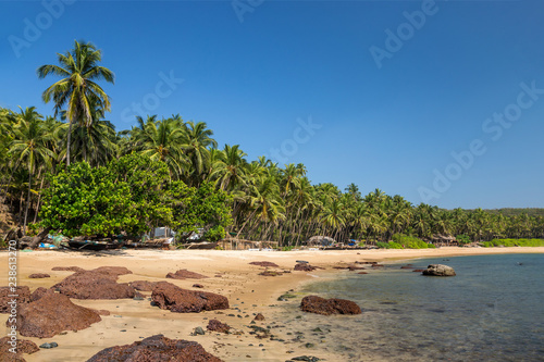 Tropical beach with rocks and palm trees