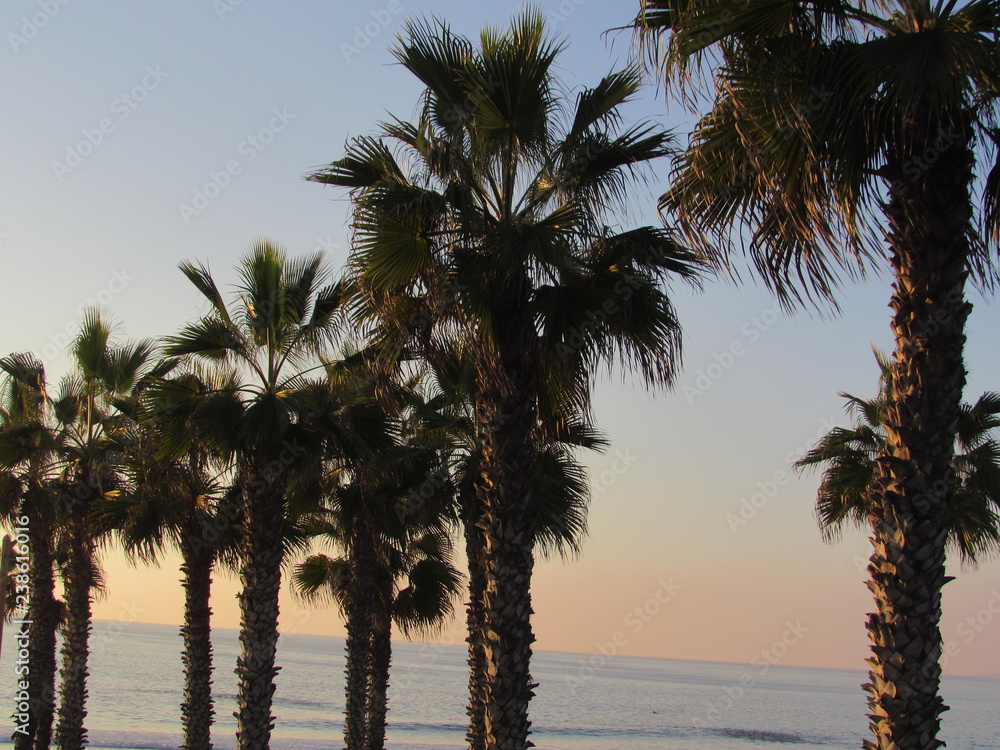 Obraz premium sunset on the beach