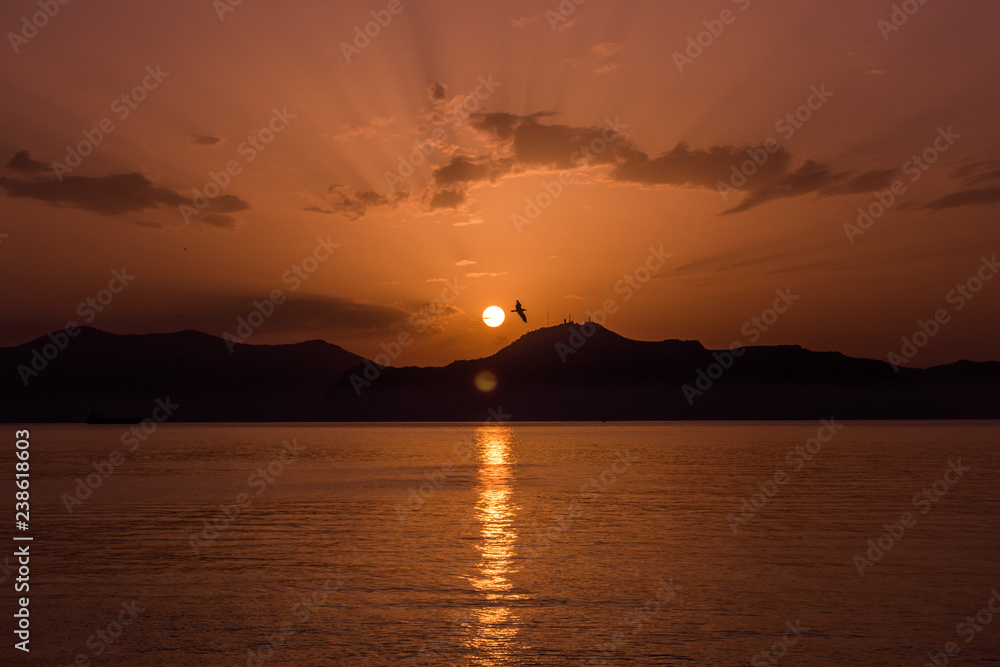A silhouette of a seagull flying in front of the sun, over the landscape of some mountains near the Sicilian sea during the sunset