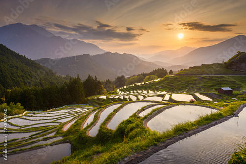 Rice terraces at sunset in Japan photo