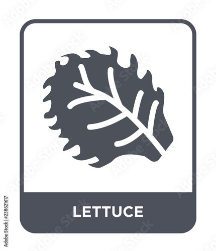 lettuce icon vector