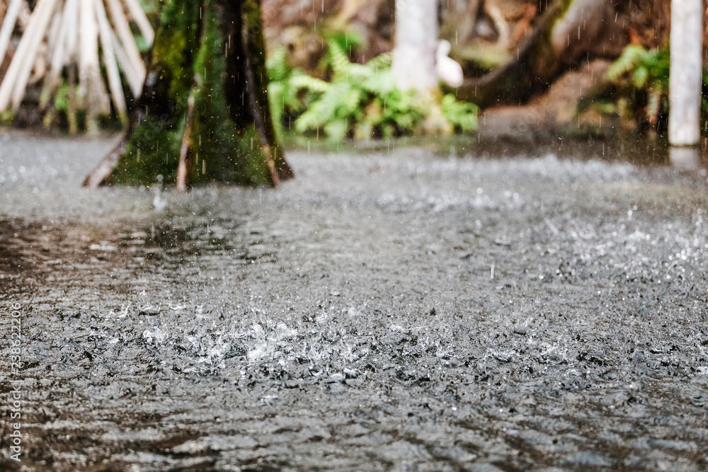 Fototapeta premium Rain drops on the lake surface