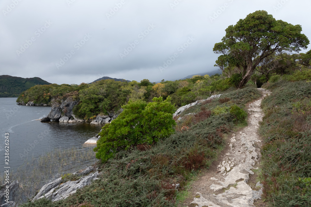 Rugged shores of Lough Leane (lake of learning), the largest of the three lakes of Killarney. Killarney National Park, County Kerry, Ireland.