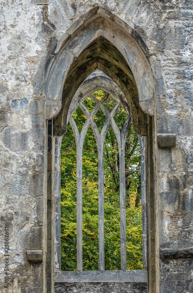 Ruins of the Muckross Abbey, founded in 1448 as a Franciscan friary. Killarney National Park, County Kerry, Ireland.