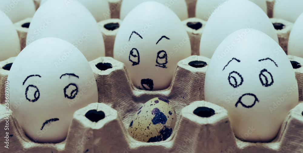 Fototapeta premium Eggs disbelieving and embarrassed look on the quail