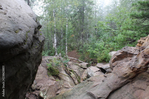 photo landscape of forest and stones on the mountain