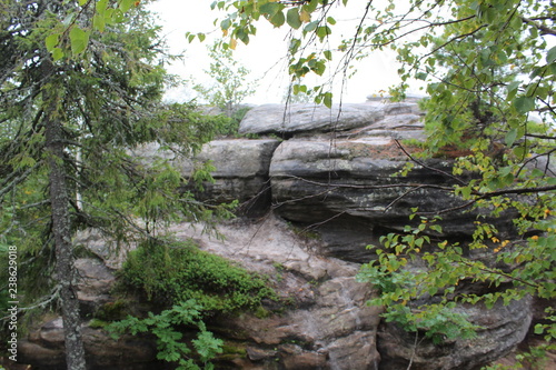 photo landscape of forest and stones on the mountain