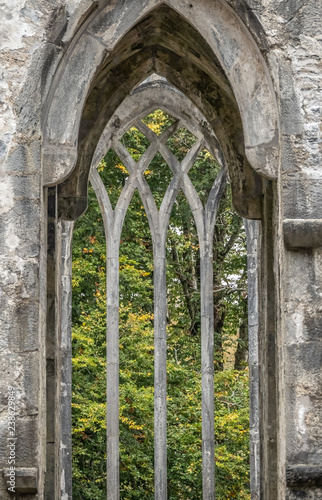 Ruins of the Muckross Abbey, founded in 1448 as a Franciscan friary. Killarney National Park, County Kerry, Ireland. photo