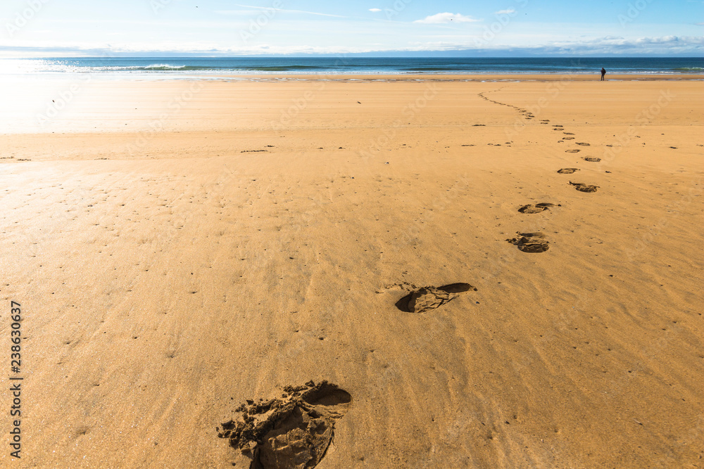 Obraz premium Foot prints on Raudisandur Beach, west fjords, Iceland