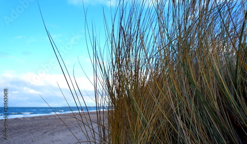 Sanddünen am Strand an der Ostsee nahe Warnemünde 